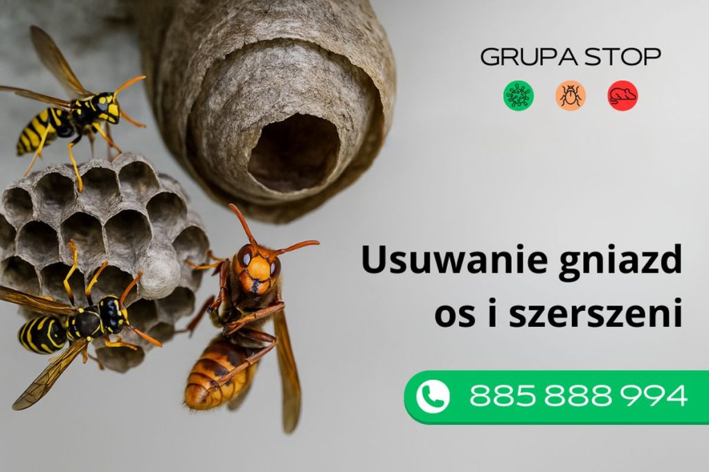 usuwanie gniazd os i szerszeni Grupa Stop